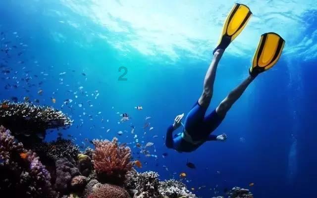 收到拜年短信不回复的人是怎么想的？游戏画面